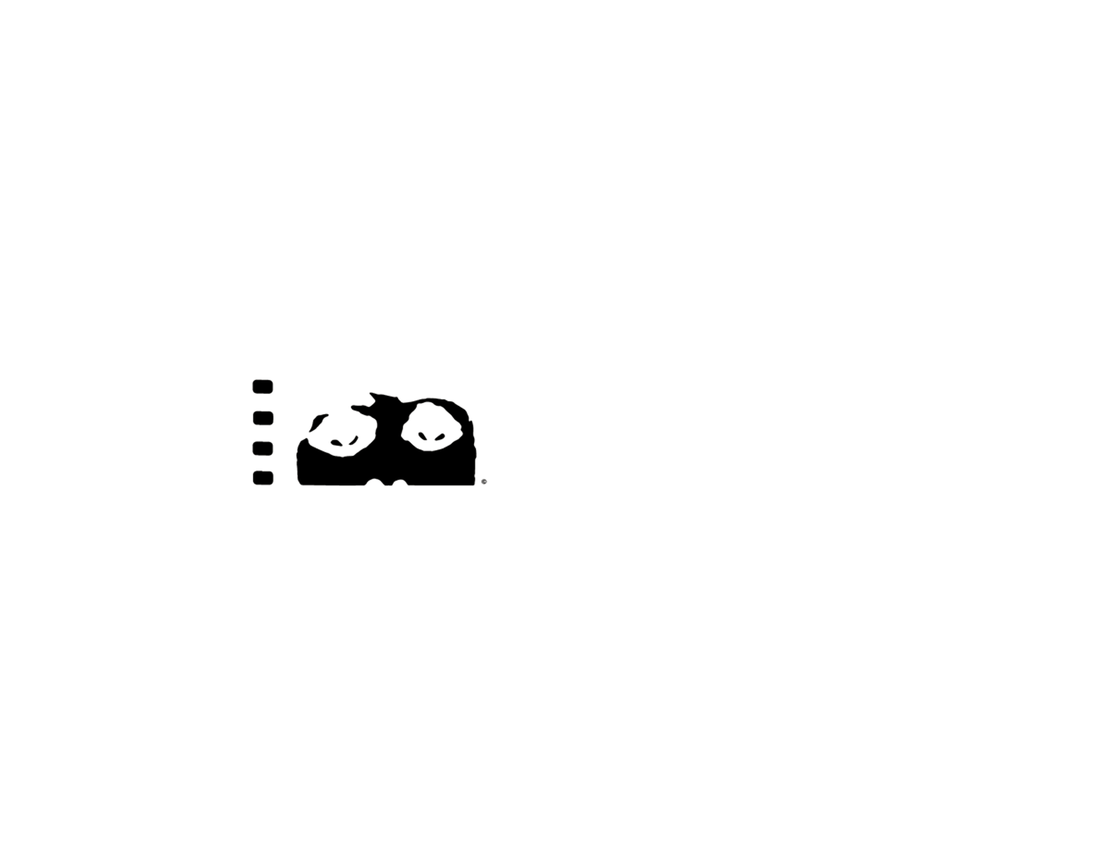 CHICAGO FILM FESTIVAL